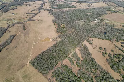 131 Fcr 462, Buffalo, TX 75831 - Photo 40