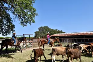 8228 US Hwy 377, Tolar, TX 76872 - Photo 22