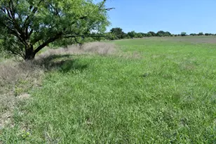 8228 US Hwy 377, Tolar, TX 76872 - Photo 4