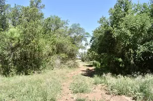 8228 US Hwy 377, Tolar, TX 76872 - Photo 30