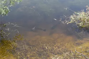 8228 US Hwy 377, Tolar, TX 76872 - Photo 38