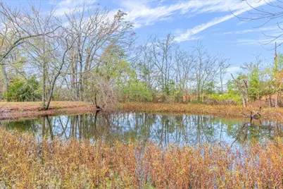 11384 Fm 859, Wills Point, TX 75169 - Photo 6