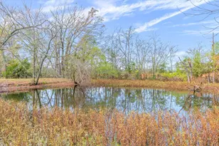 11384 FM 859, Wills Point, TX 75169 - Photo 6