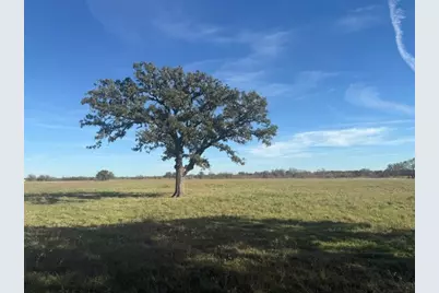 0 Cr-4059, Kemp, TX 75143 - Photo 8