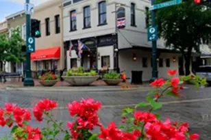 224 Bay Laurel Rd, McKinney, TX 75071 - Photo 34