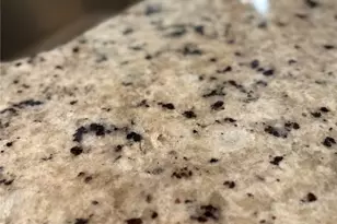 305 N Long Rifle Dr, Fort Worth, TX 76108 - Photo 12