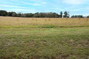 Lt 8 - 0 Tbd Fm 1892, Frankston, TX 75763 - Photo 8