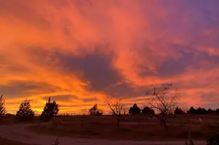 831 Cullins Rd, Rockwall, TX 75032 - Photo 28