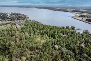 Lt 6 0 Tbd Fm 1892, Frankston, TX 75763 - Photo 8