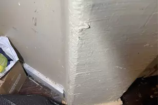 5832 World Champion Ct, Fort Worth, TX 76179 - Photo 18