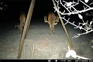 692 Co Rd 3318, Greenville, TX 75402 - Photo 40