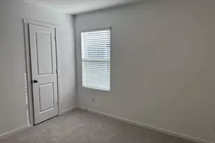 3116 Burmese St, Providence Village, TX 76227 - Photo 22