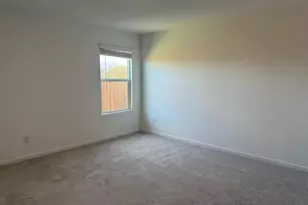 3116 Burmese St, Providence Village, TX 76227 - Photo 14