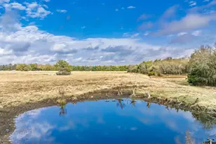 Tbd Cr 3140, Cooper, TX 75432 - Photo 1