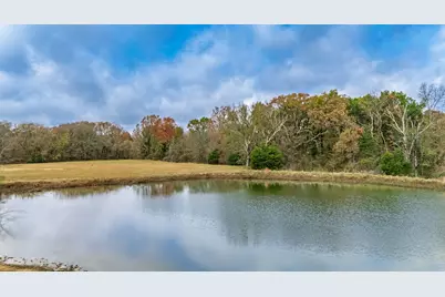 Tbd Fm 154, Cooper, TX 75432 - Photo 6