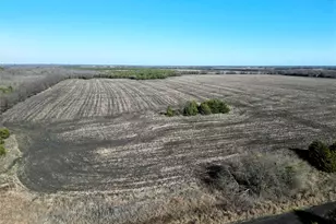 99 Ac County Road 4914, Commerce, TX 75428 - Photo 1