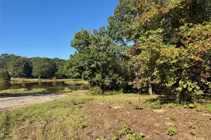 Lot 18 County Road 1216, Pittsburg, TX 75686 - Photo 1