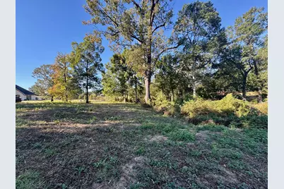 Lot 18 County Road 1216, Pittsburg, TX 75686 - Photo 4