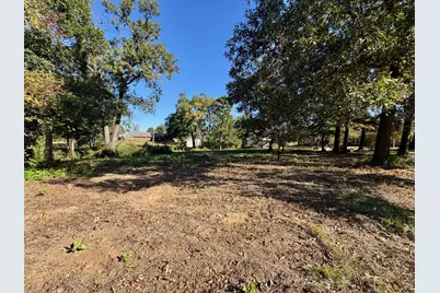 Lot 18 County Road 1216, Pittsburg, TX 75686 - Photo 2