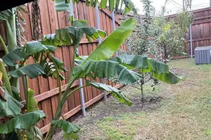 225 S Overlook Dr, Red Oak, TX 75154 - Photo 24