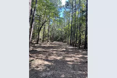 167 Cr 3141, Jacksonville, TX 75766 - Photo 6