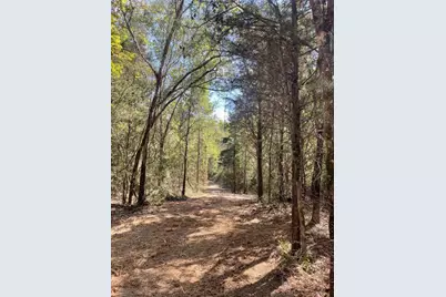 167 Cr 3141, Jacksonville, TX 75766 - Photo 4