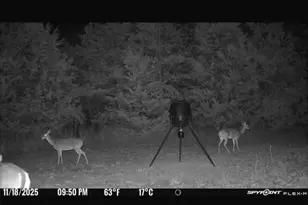 184 Fcr 941, Teague, TX 75860 - Photo 14