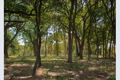 316 Manza Court, Aledo, TX 76008 - Photo 24