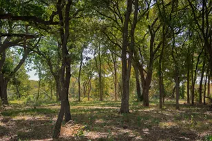 316 Manza Ct, Aledo, TX 76008 - Photo 24