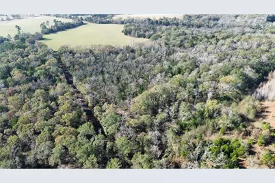 Tbd Lot 2 Vz County Road 4134, Canton, TX 75103 - Photo 10