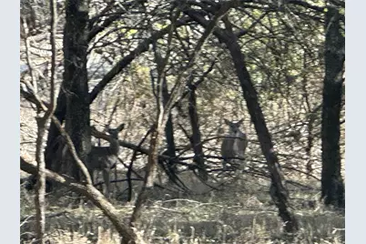 7024 & 7025 Golf Drive, Whitney, TX 76692 - Photo 6