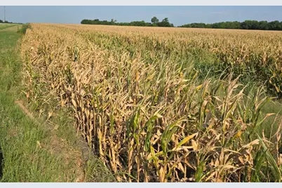 0000 Hwy 82, Honey Grove, TX 75446 - Photo 1