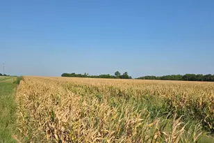 0000 Hwy 82, Honey Grove, TX 75446 - Photo 1