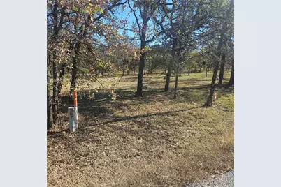 196 Johnston Lane, Runaway Bay, TX 76426 - Photo 10