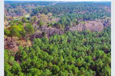 0 Us-259 N, Ore City, TX 75640 - Photo 4