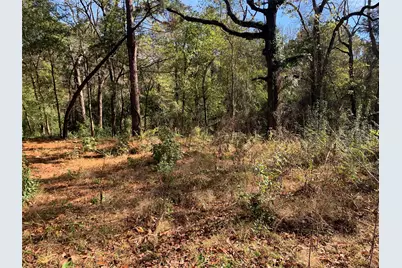 905 W Cayuga Drive, Athens, TX 75751 - Photo 8