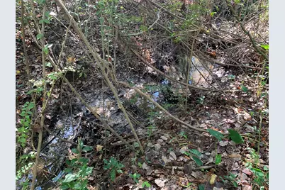 905 W Cayuga Drive, Athens, TX 75751 - Photo 6