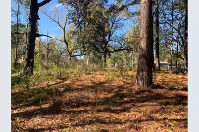 905 W Cayuga Drive, Athens, TX 75751 - Photo 1