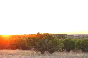 1040 Cedar Hl Dr, Nemo, TX 76070 - Photo 8