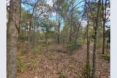 9716 Fm 751, Quinlan, TX 75474 - Photo 36