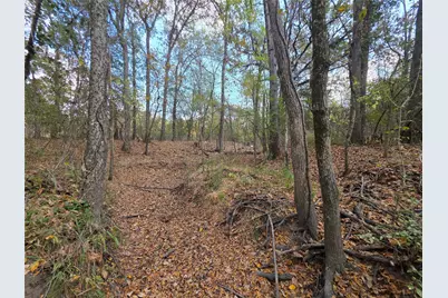 9716 Fm 751, Quinlan, TX 75474 - Photo 4