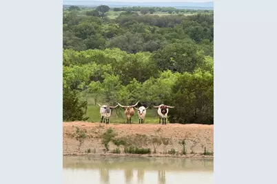 1473 Highway 16 S, Strawn, TX 76475 - Photo 10