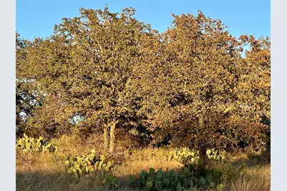 2112-C County Road 126, Gordon, TX 76453 - Photo 6