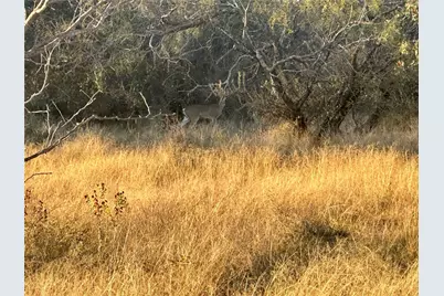 2112-C County Road 126, Gordon, TX 76453 - Photo 1