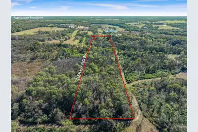 191 Pr 5701, Grand Saline, TX 75140 - Photo 6