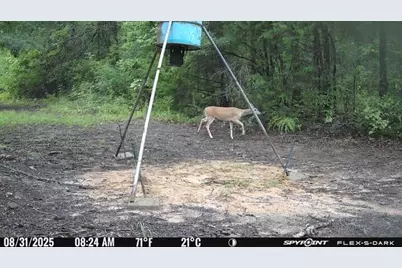 191 Pr 5701, Grand Saline, TX 75140 - Photo 4