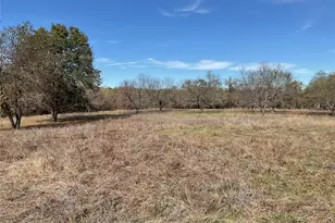 125 Rock Salt Ct, Springtown, TX 76082 - Photo 10