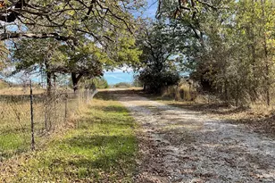 125 Rock Salt Ct, Springtown, TX 76082 - Photo 4