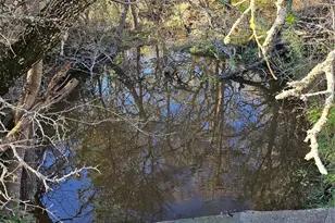 1447 Red Gate Rd, Mart, TX 76664 - Photo 18