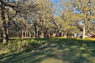 1447 Red Gate Rd, Mart, TX 76664 - Photo 4